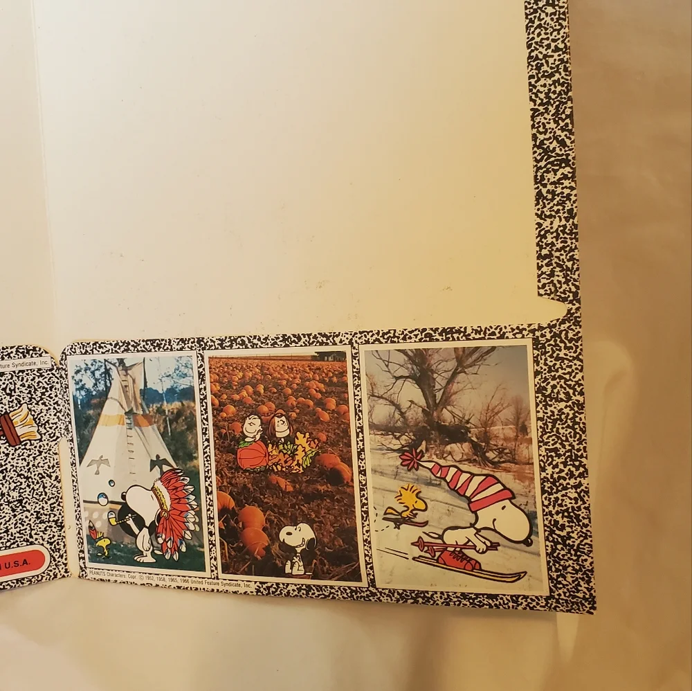 Snoopy Portfolio Fun Graphics Vtg 1966 Woodstock Motocross Skiing Made In USA